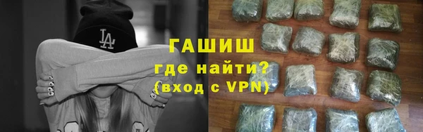 прущие грибы Новодвинск