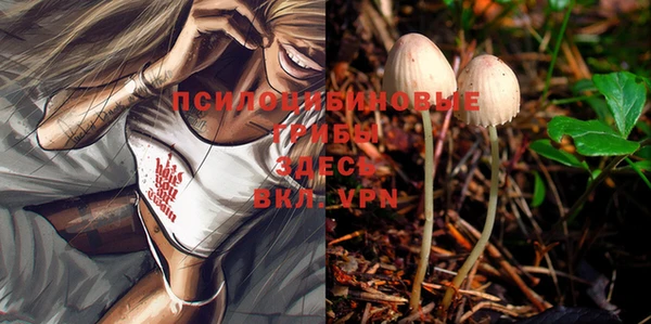 MDMA Premium VHQ Арсеньев