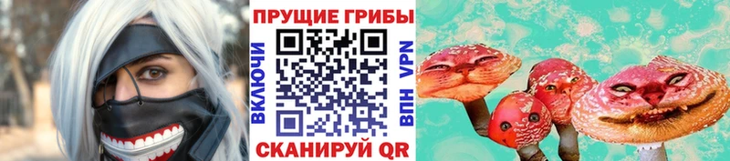 Псилоцибиновые грибы Psilocybine cubensis  купить наркотик  Новоаннинский 